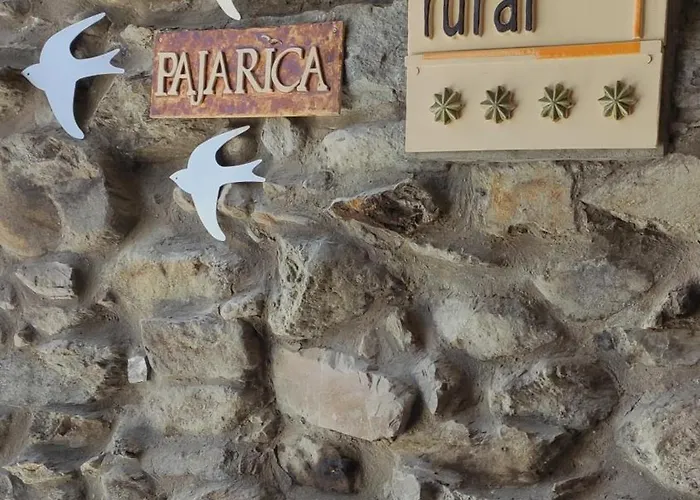 Pajarica En Sanabria San Ciprián
